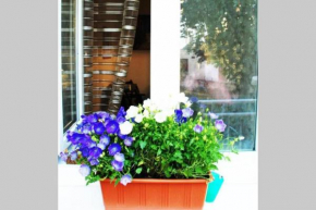 Quiet apartment near city centre, Brno